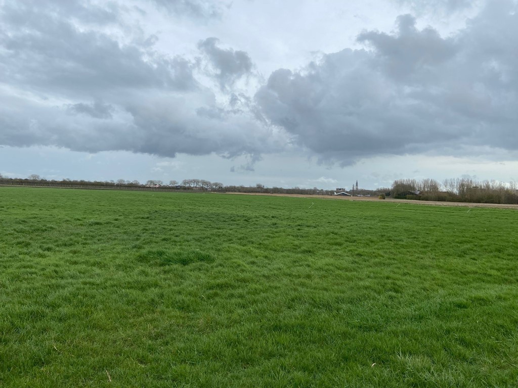 WhatsApp Image 2026-03-13 at 17.25.44 (1).jpeg